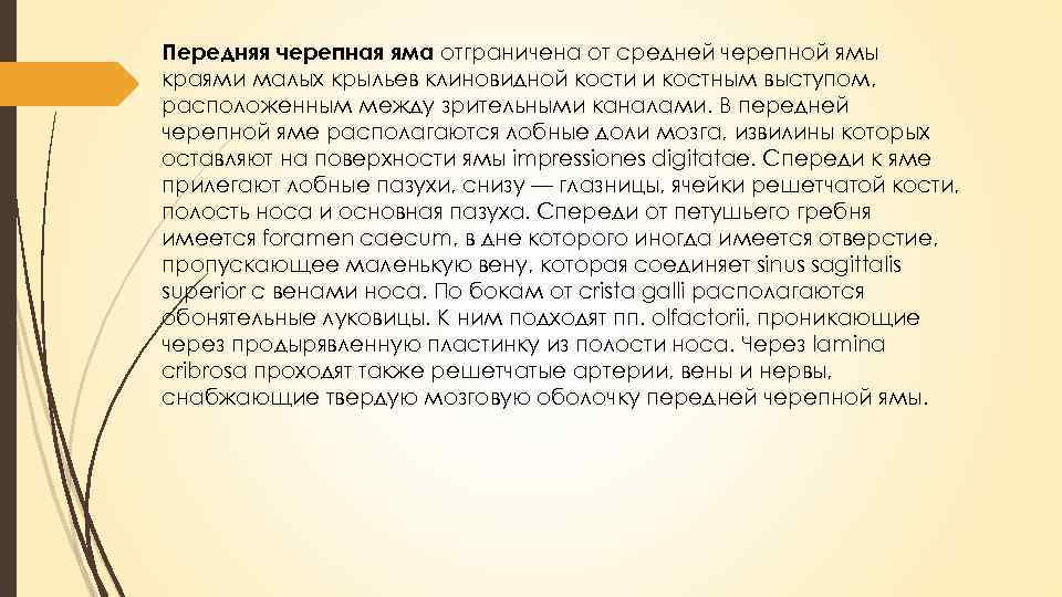 Передняя черепная яма отграничена от средней черепной ямы краями малых крыльев клиновидной кости и