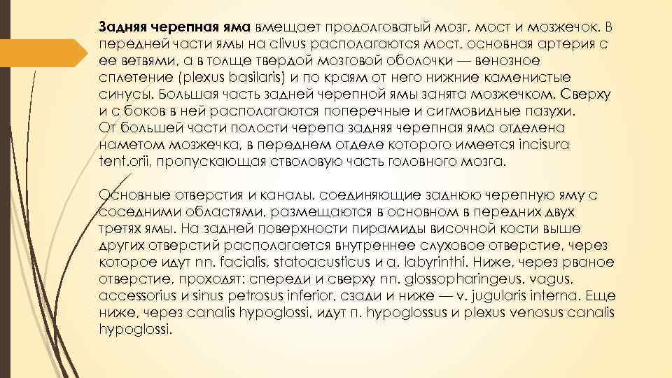 Задняя черепная яма вмещает продолговатый мозг, мост и мозжечок. В передней части ямы на
