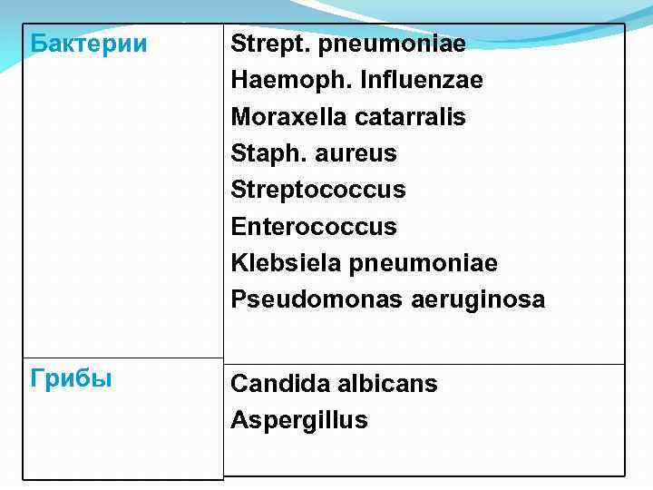 Бактерии Strept. рneumoniae Haemoph. Influenzae Moraxella catarralis Staph. аureus Streptococcus Enterococcus Klebsiela pneumoniae Pseudomonas