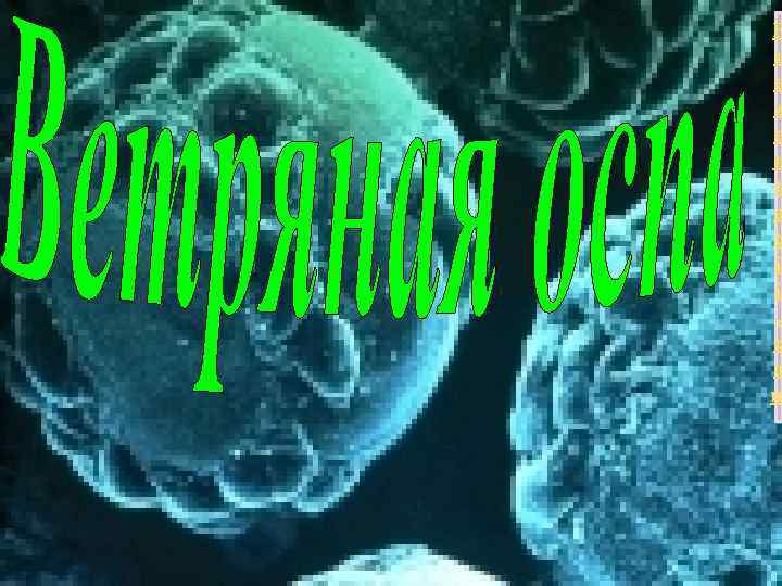 P r e z e n t a c i i. c o m