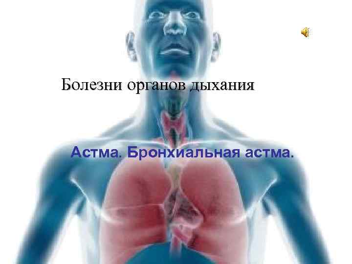 Болезни органов дыхания Астма. Бронхиальная астма. 