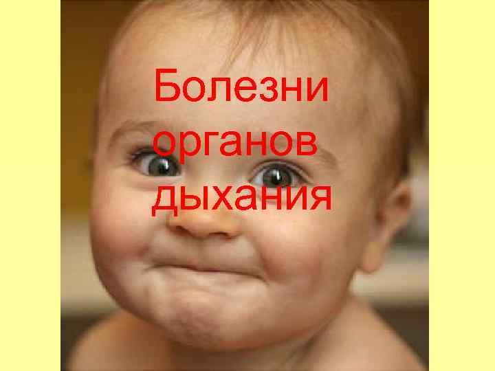 Болезни органов дыхания 