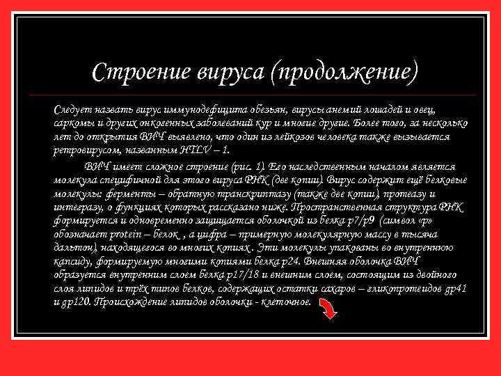 Строение вируса (продолжение) Следует назвать вирус иммунодефицита обезьян, вирусы анемий лошадей и овец, саркомы