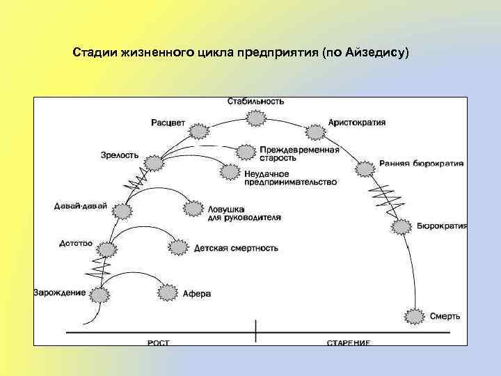 Стадии жизненного цикла предприятия (по Айзедису) 