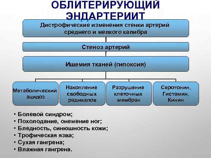 ОБЛИТЕРИРУЮЩИЙ ЭНДАРТЕРИИТ Дистрофические изменения стенки артерий среднего и мелкого калибра Стеноз артерий Ишемия тканей