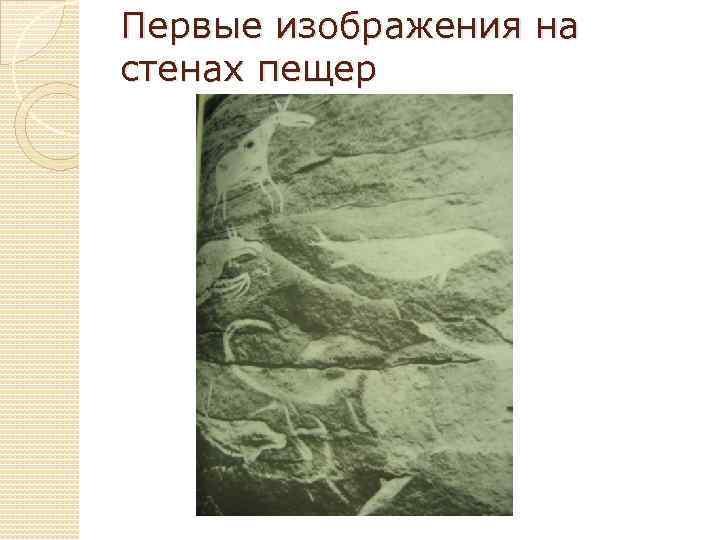Первые изображения на стенах пещер 