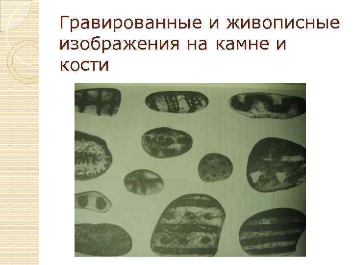 Гравированные и живописные изображения на камне и кости 