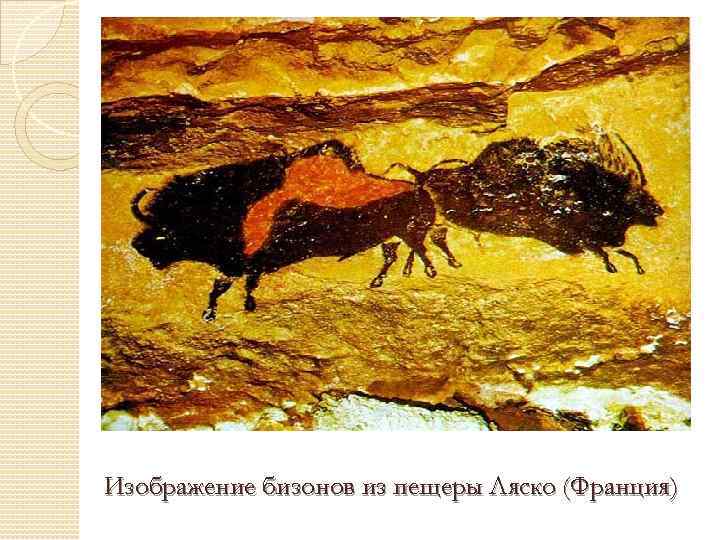 Изображение бизонов из пещеры Ляско (Франция) 