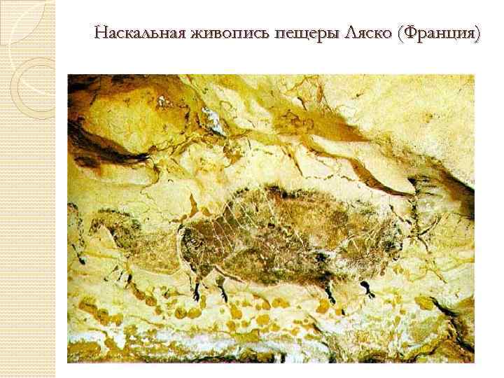 Наскальная живопись пещеры Ляско (Франция) 
