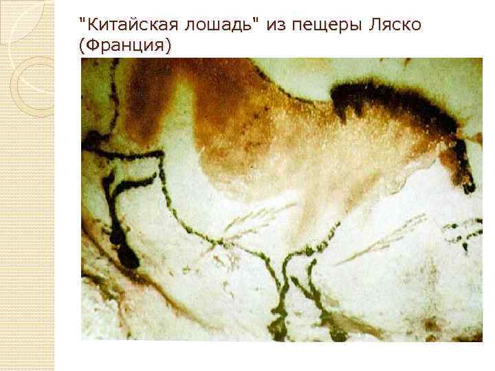 "Китайская лошадь" из пещеры Ляско (Франция) 
