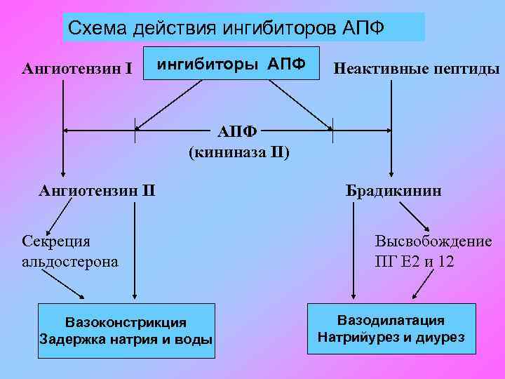 Схема действия ингибиторов АПФ Ангиотензин I ингибиторы АПФ Неактивные пептиды АПФ (кининаза II) Ангиотензин