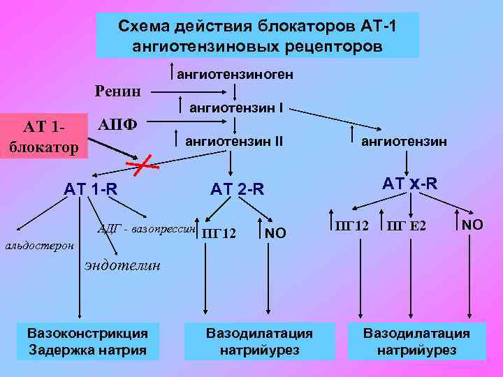 Схема действия блокаторов АТ-1 ангиотензиновых рецепторов Ренин АТ 1 блокатор АПФ АТ 1 -R
