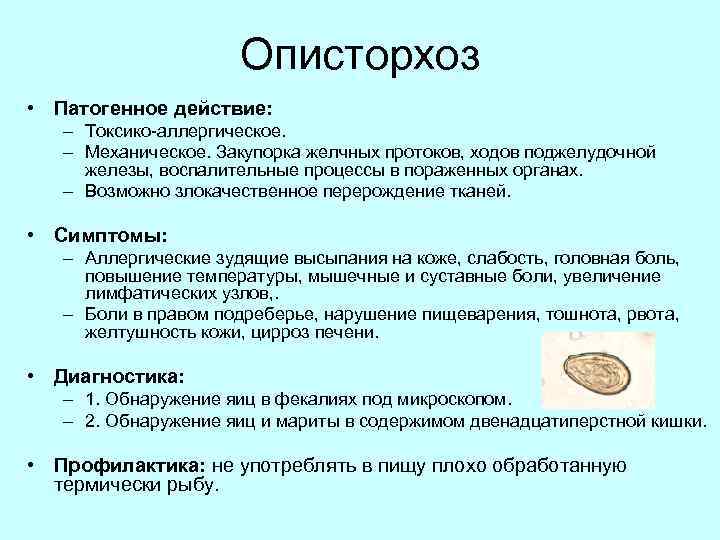 Описторхоз лечение