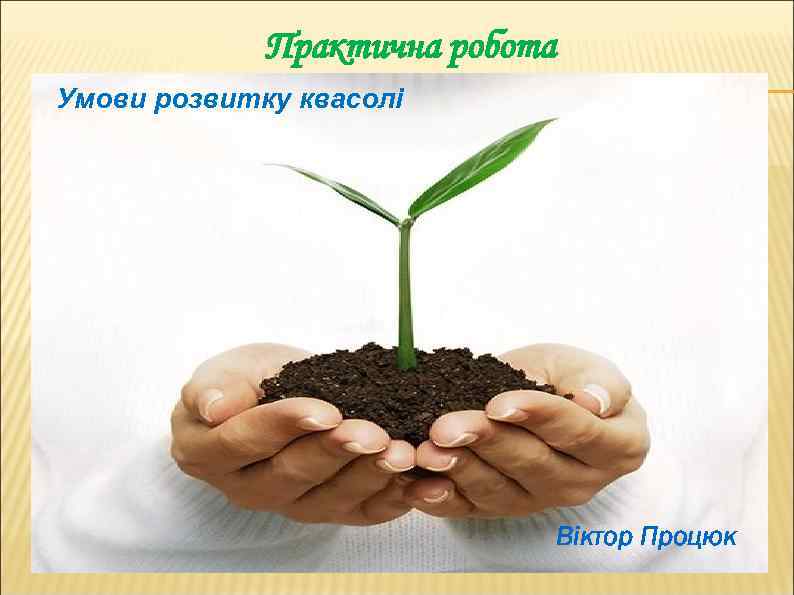 Практична робота Умови розвитку квасолі Віктор Процюк 