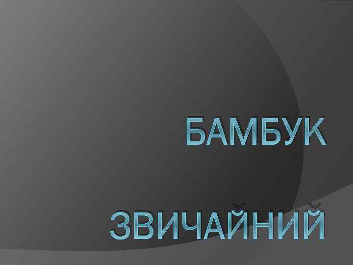 БАМБУК ЗВИЧАЙНИЙ 