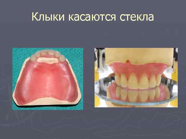 Клыки касаются стекла 