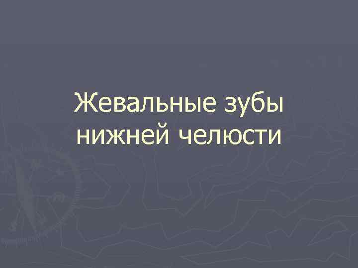 Жевальные зубы нижней челюсти 