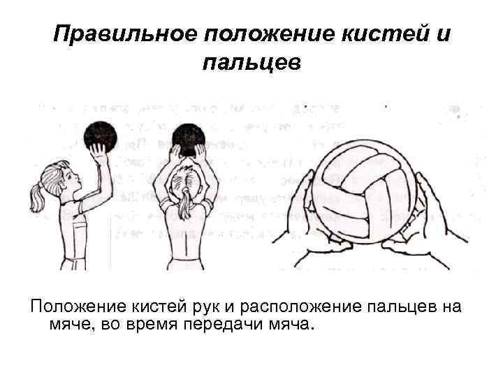Правильное положение кистей и пальцев Положение кистей рук и расположение пальцев на мяче, во