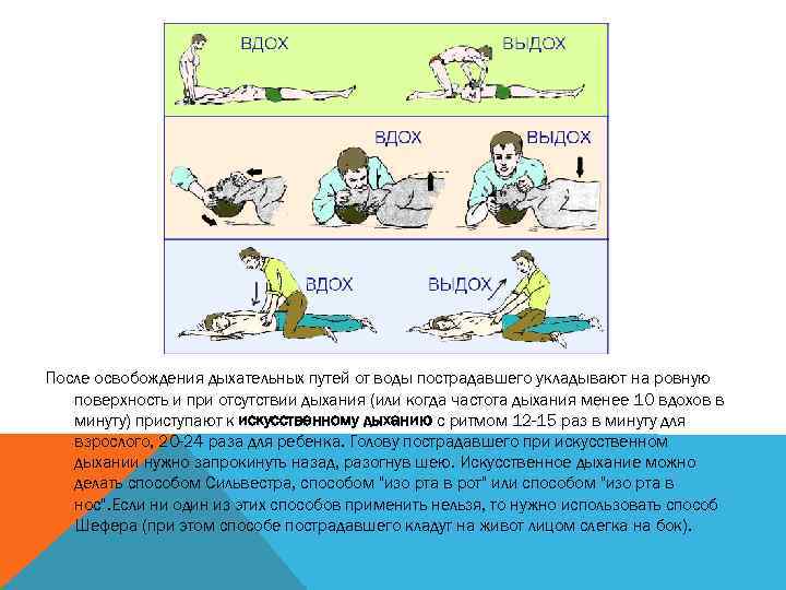 После освобождения дыхательных путей от воды пострадавшего укладывают на ровную поверхность и при отсутствии