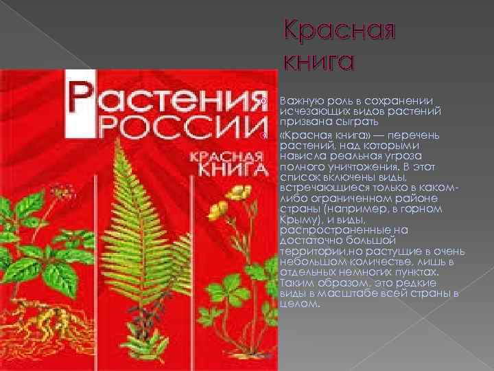 Красная книга Важную роль в сохранении исчезающих видов растений призвана сыграть «Красная книга» —