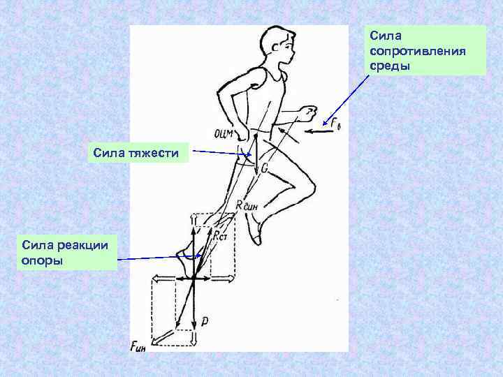 Сила сопротивления среды. Сила реакции опоры в биомеханике. Сила реакции опоры.
