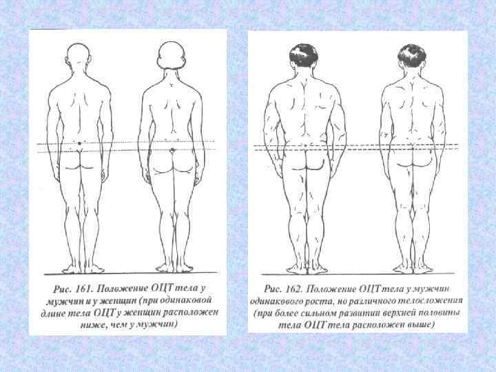 Положение тела стоя. Схема анатомического анализа положений и движений тела. Положение стоя анатомический анализ. Анатомический анализ положения тела. Анатомически правильное положение тела.