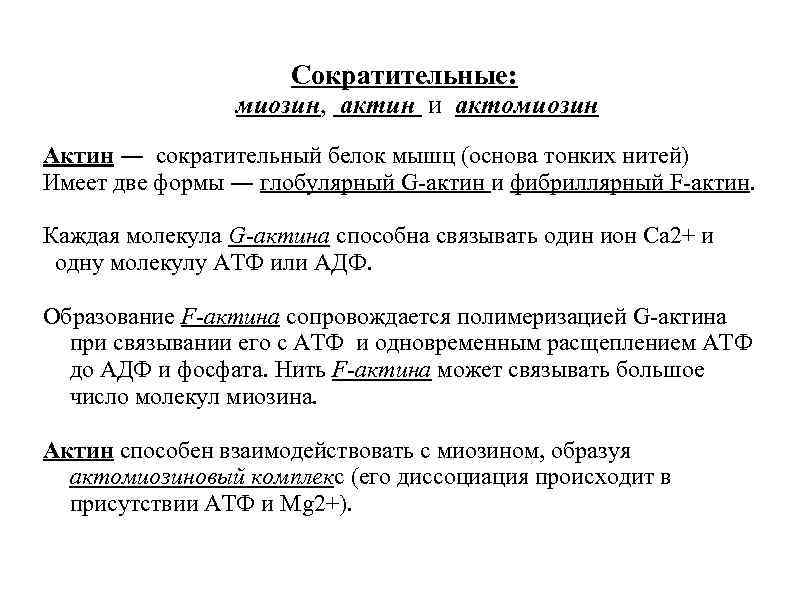 Сократительные: миозин, актин и актомиозин Актин ― сократительный белок мышц (основа тонких нитей) Имеет