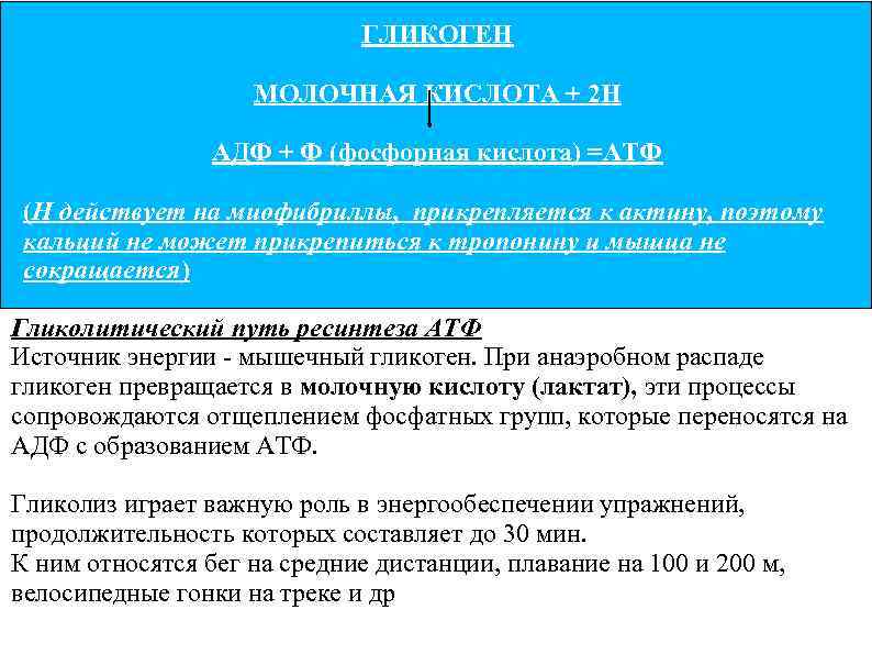 ГЛИКОГЕН МОЛОЧНАЯ КИСЛОТА + 2 Н АДФ + Ф (фосфорная кислота) =АТФ (Н действует