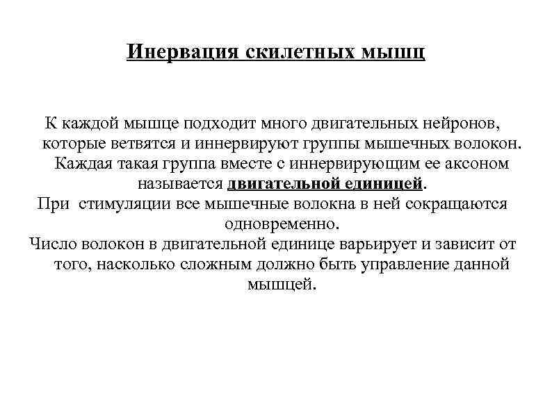 Инервация скилетных мышц К каждой мышце подходит много двигательных нейронов, которые ветвятся и иннервируют