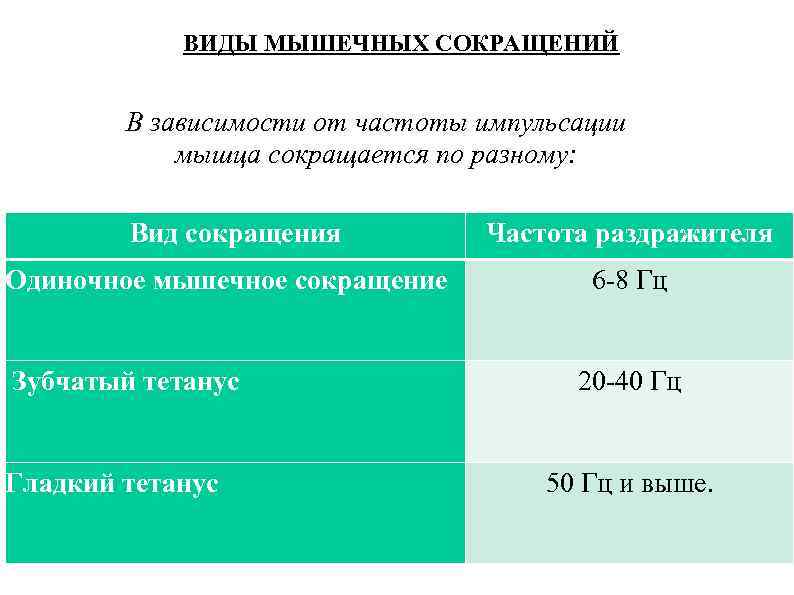 ВИДЫ МЫШЕЧНЫХ СОКРАЩЕНИЙ В зависимости от частоты импульсации мышца сокращается по разному: Вид сокращения