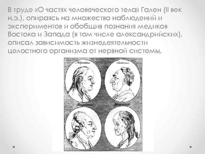 В труде «О частях человеческого тела» Гален (II век н. э. ), опираясь на