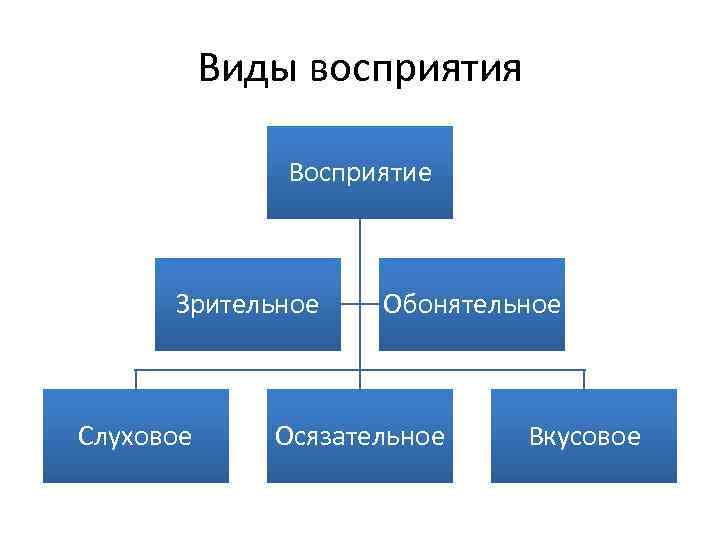 Виды восприятия Восприятие Зрительное Слуховое Обонятельное Осязательное Вкусовое 