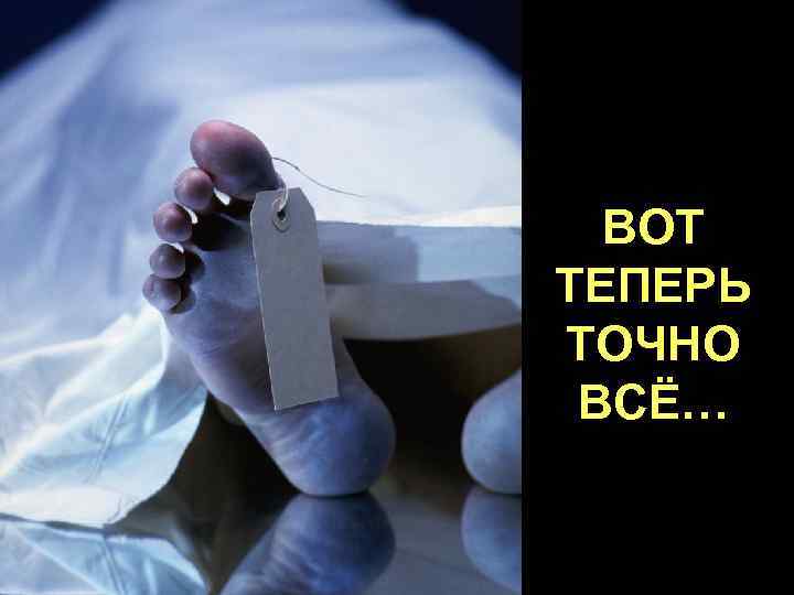 ВОТ ТЕПЕРЬ ТОЧНО ВСЁ… 