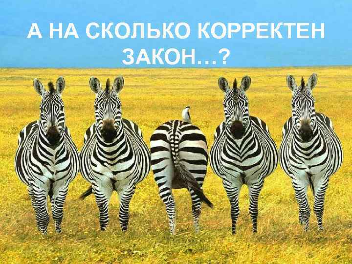 А НА СКОЛЬКО КОРРЕКТЕН ЗАКОН…? 