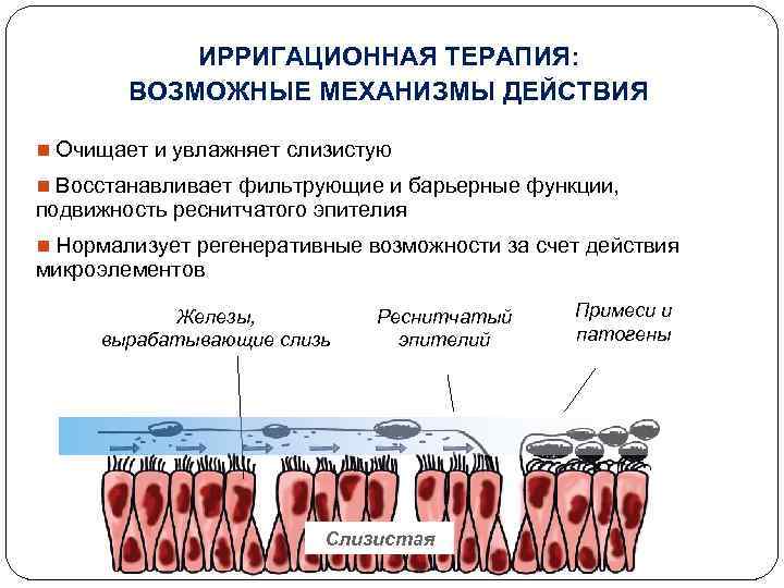 ИРРИГАЦИОННАЯ ТЕРАПИЯ: ВОЗМОЖНЫЕ МЕХАНИЗМЫ ДЕЙСТВИЯ n Очищает и увлажняет слизистую n Восстанавливает фильтрующие и