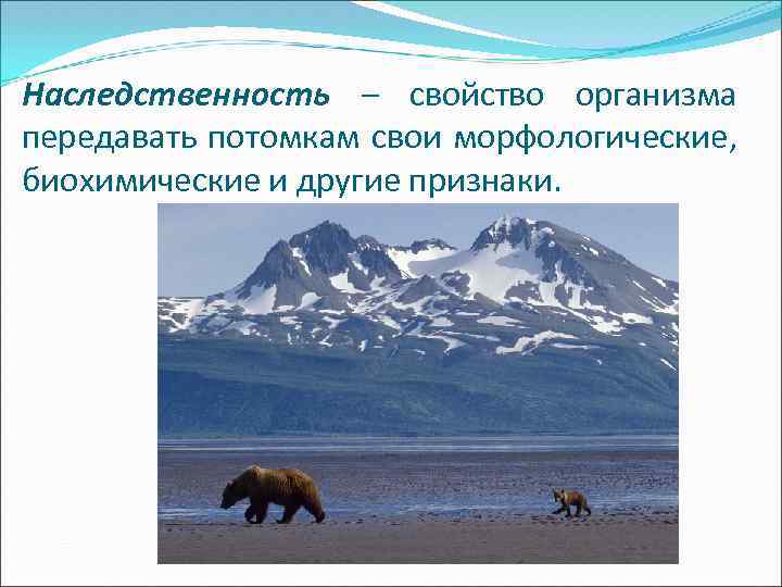 Наследственность – свойство организма передавать потомкам свои морфологические, биохимические и другие признаки. 