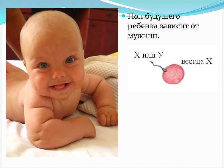  Пол будущего ребенка зависит от мужчин. 