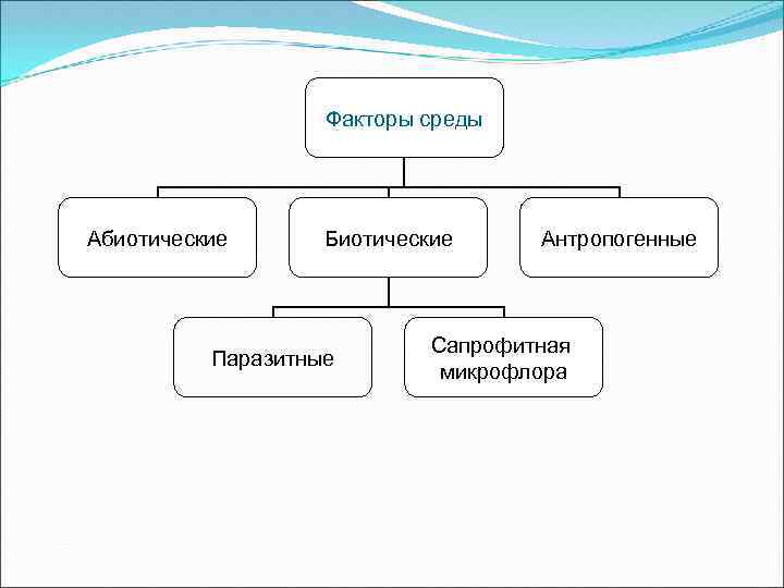 Факторы среды Абиотические Биотические Паразитные Антропогенные Сапрофитная микрофлора 