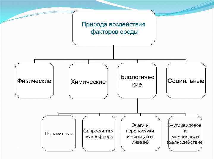 Природа воздействия факторов среды Физические Химические Паразитные Сапрофитная микрофлора Биологичес кие Социальные Очаги и