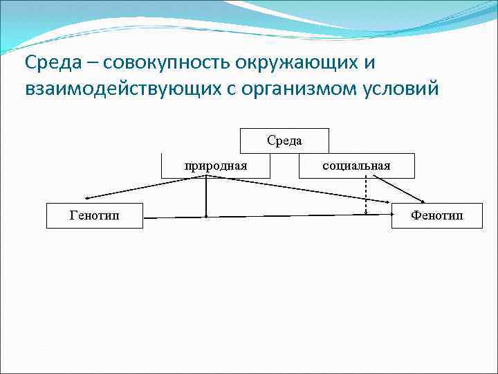 Среда – совокупность окружающих и взаимодействующих с организмом условий Среда природная Генотип социальная Фенотип