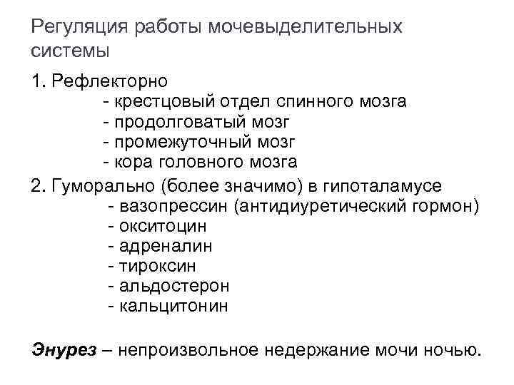 Регуляция работы мочевыделительных системы 1. Рефлекторно - крестцовый отдел спинного мозга - продолговатый мозг