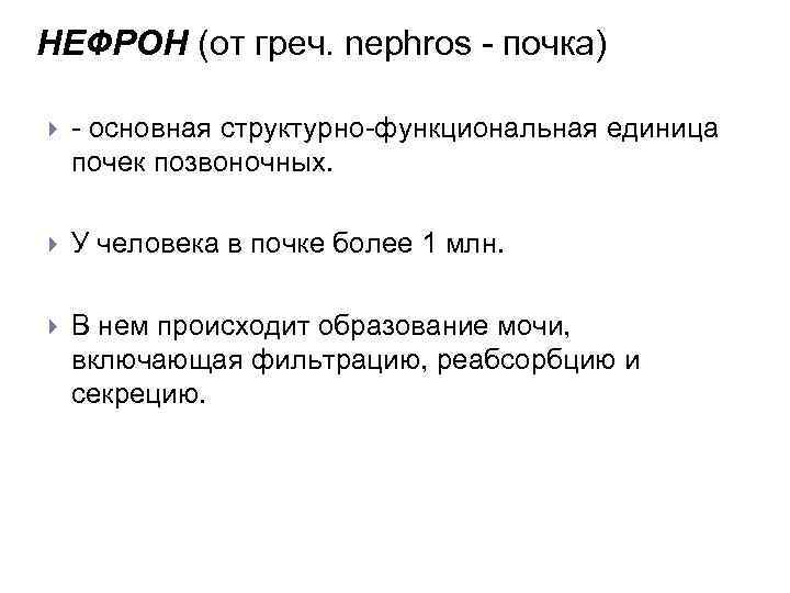 НЕФРОН (от греч. nephros - почка) - основная структурно-функциональная единица почек позвоночных. У человека