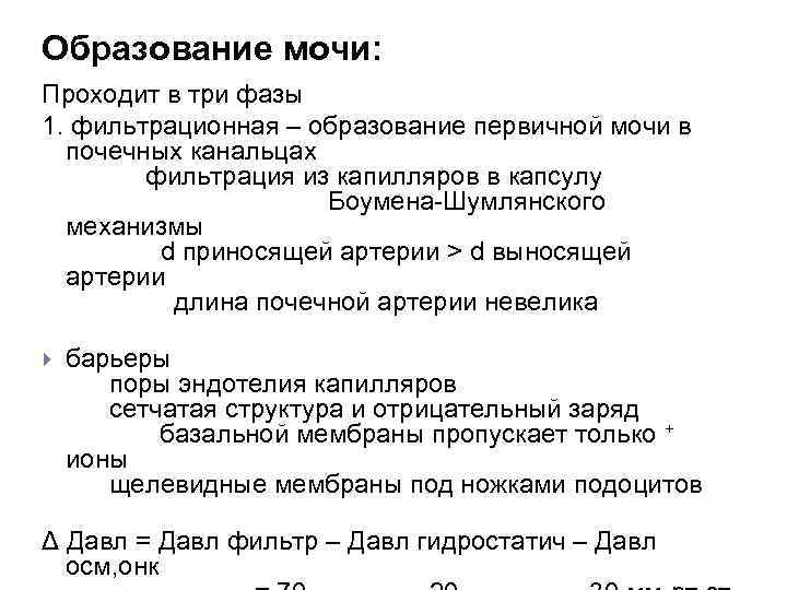 Образование мочи: Проходит в три фазы 1. фильтрационная – образование первичной мочи в почечных