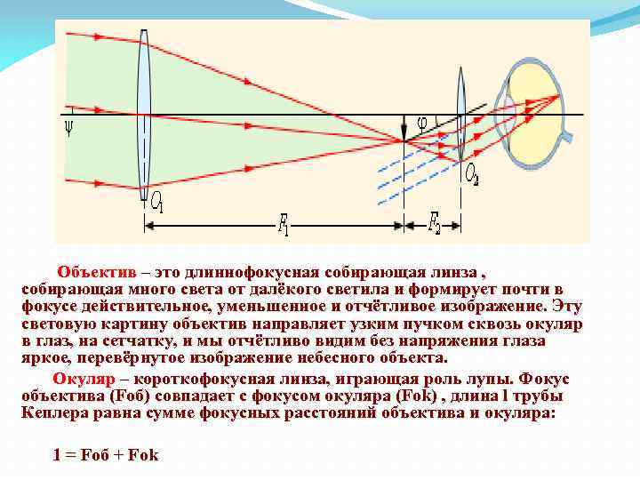 Какой оптический прибор дает действительное увеличенное изображение предмета