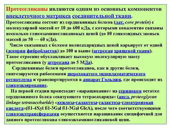 Протеогликаны являются одним из основных компонентов внеклеточного матрикса соединительной ткани. Протеогликаны состоят из сердцевинных