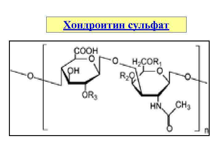 Хондроитин сульфат 