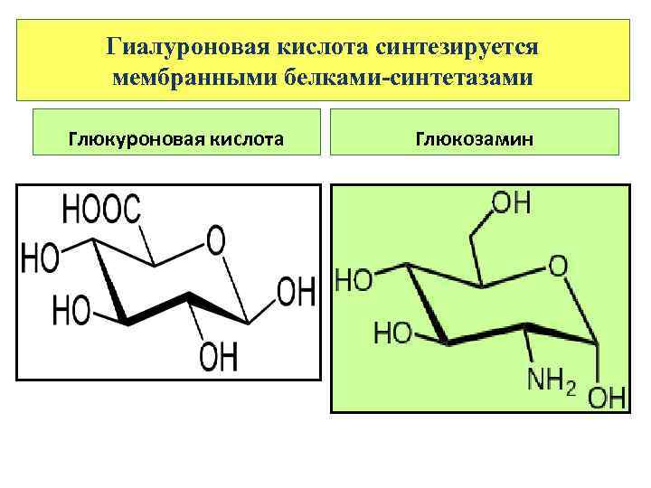 Глюкуроновая кислота для чего. Глюкуроновой кислоты. УДФ глюкуроновая кислота. Глюкуроновая кислота реакции. Глюкуроновая кислота обезвреживание.