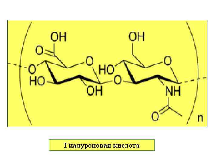Гиалуроновая кислота 