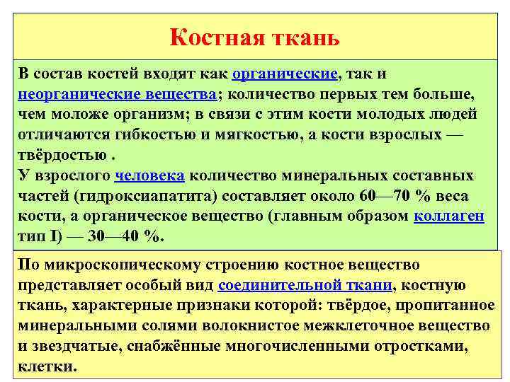 Костная ткань В состав костей входят как органические, так и неорганические вещества; количество первых