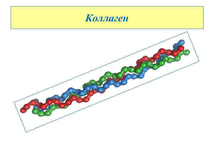 Коллаген 
